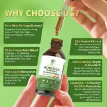 Moringa dropper bottle and jar with a dropper in use, surrounded by callouts about the herbal blend, liquid format, and ingredients.